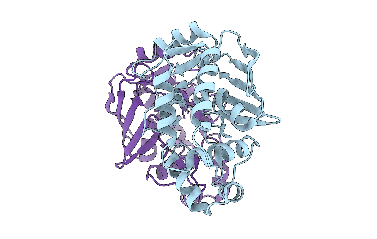 5DSF image
