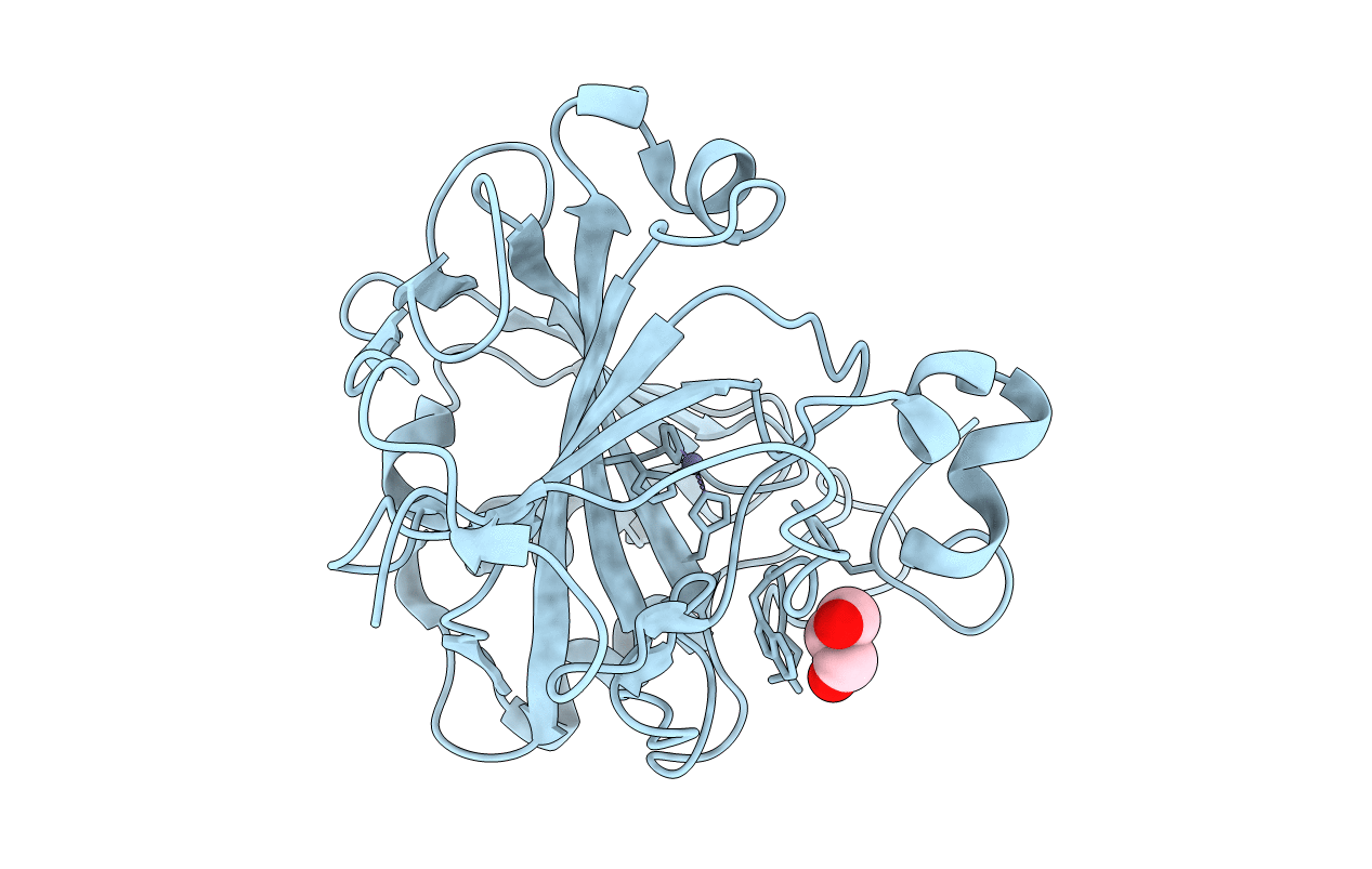 5DSL image
