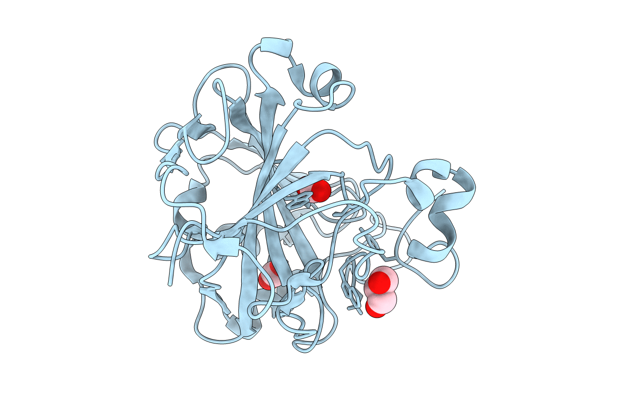 5DSO image
