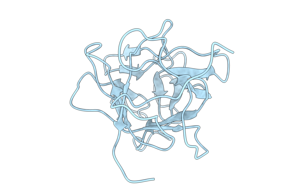 5DSS image