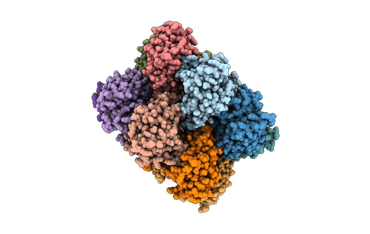 5DSV image