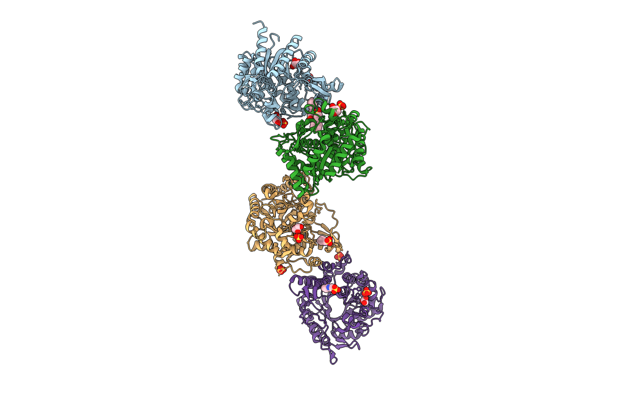 5DT7 image