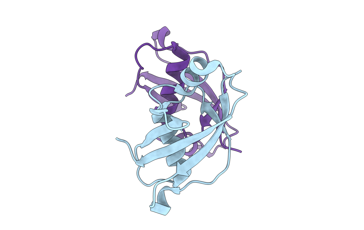 5DTC image