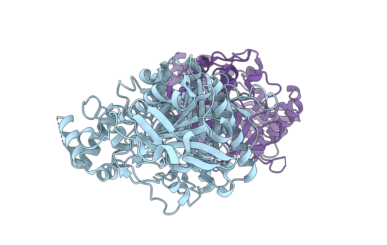 5DTI image