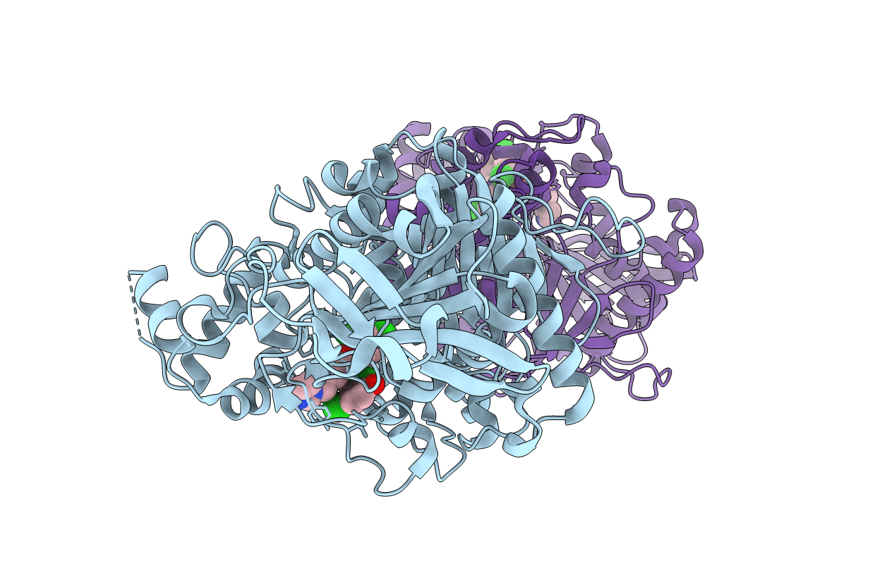 5DTJ image