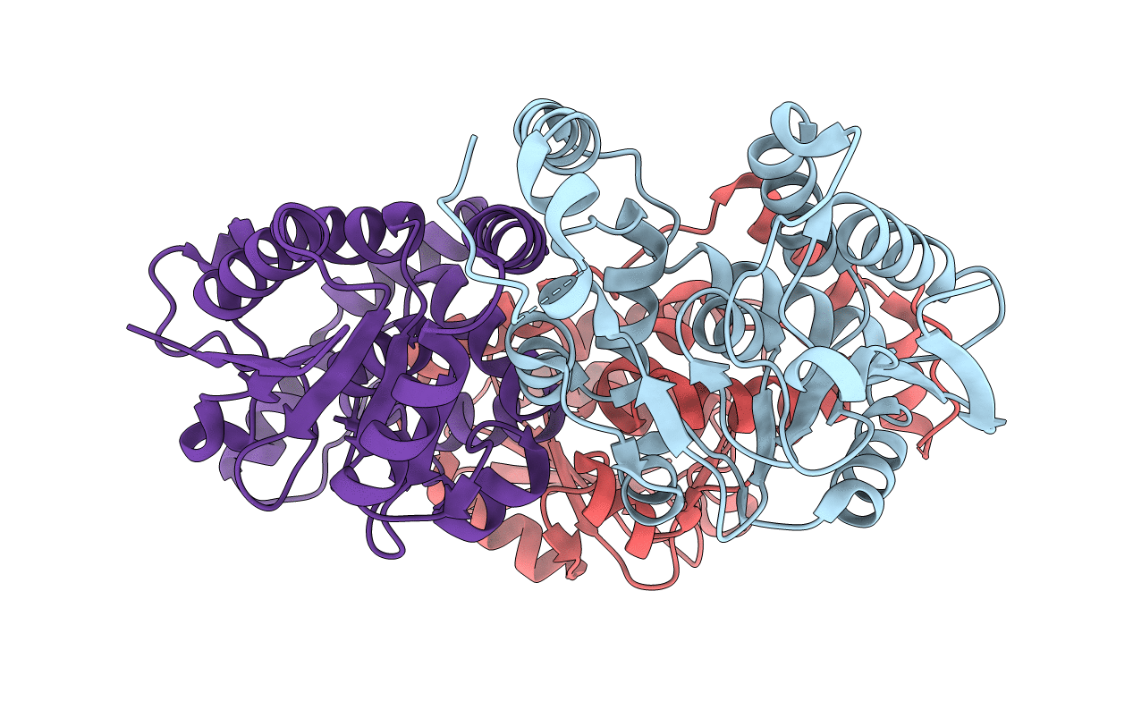 5DTP image
