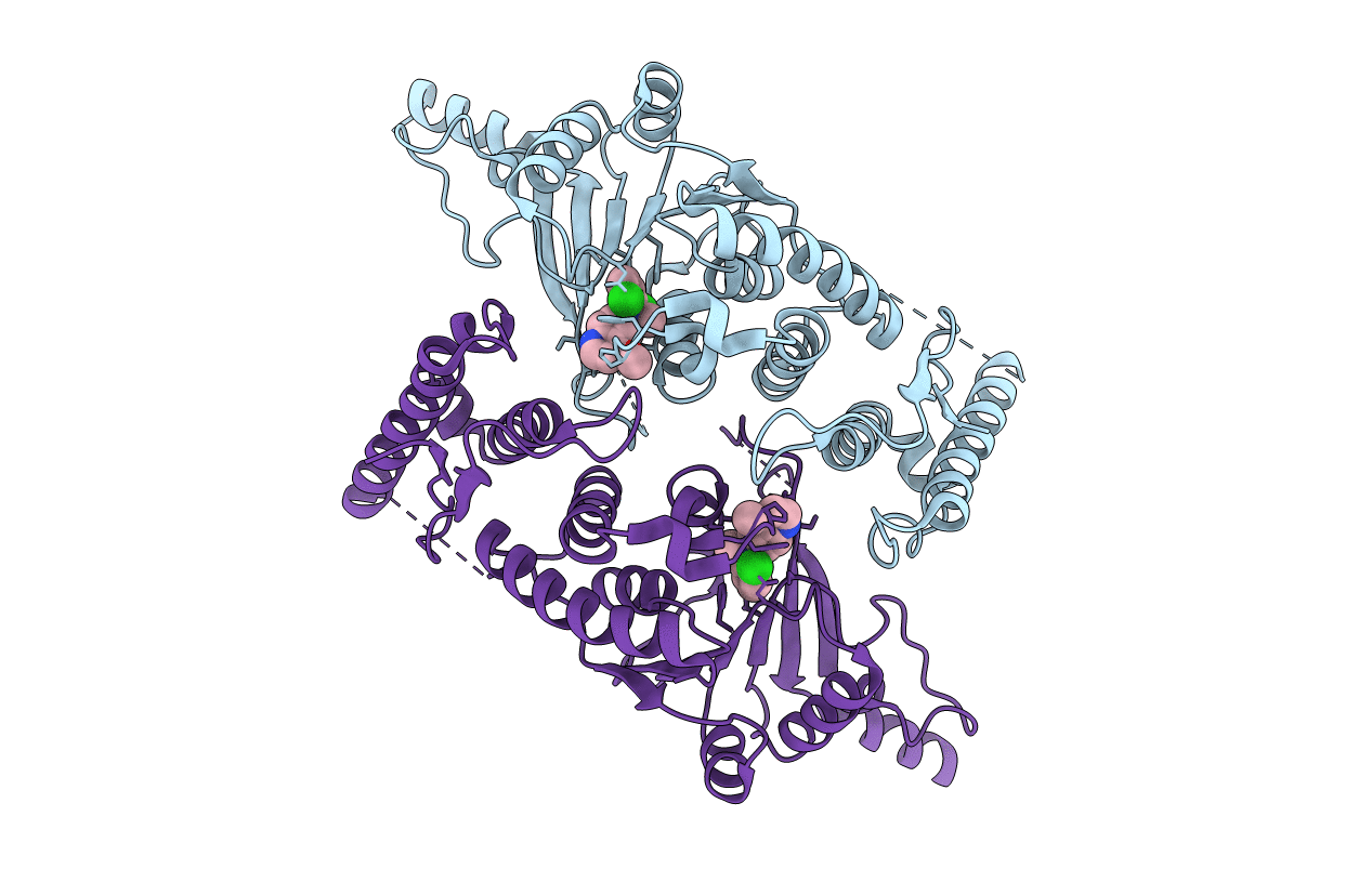 5DTR image