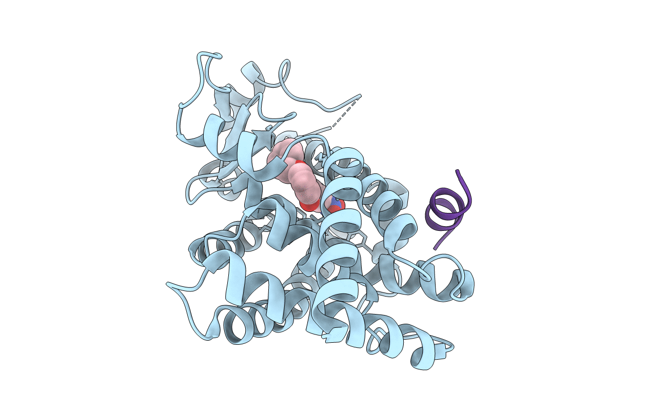 5DV3 image