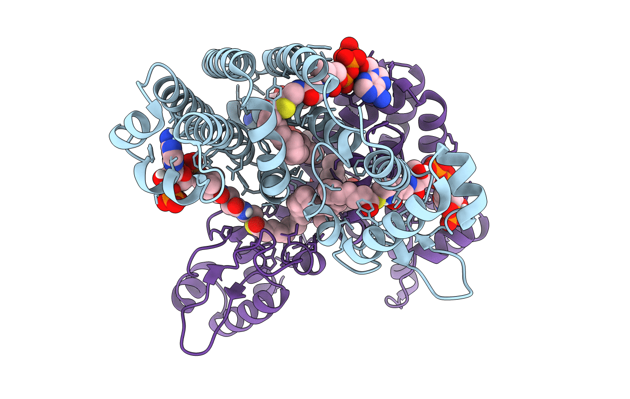 5DV5 image