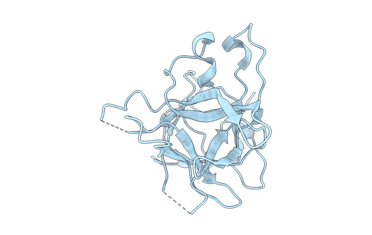 5DVH image