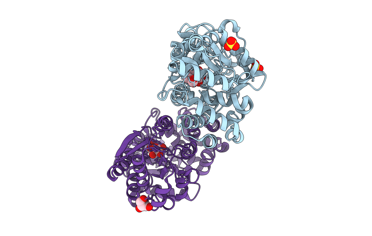 5DVJ image