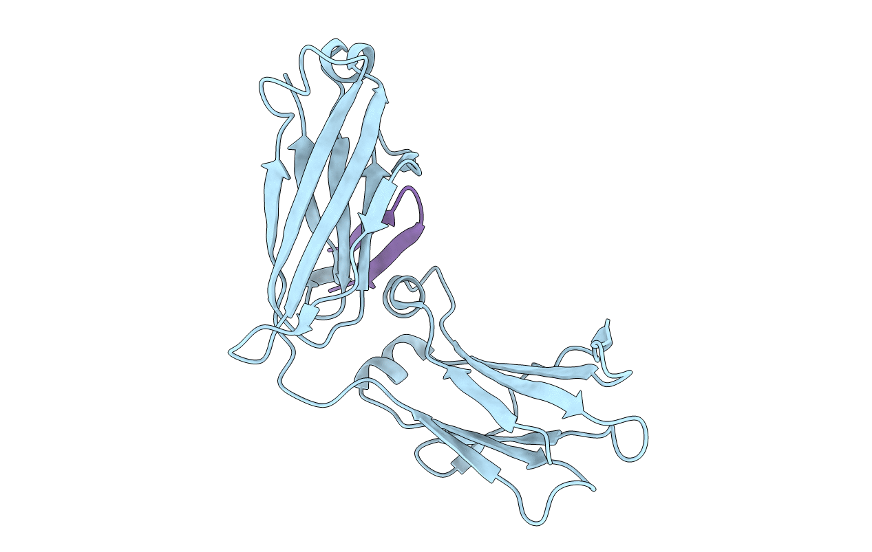 5DVM image