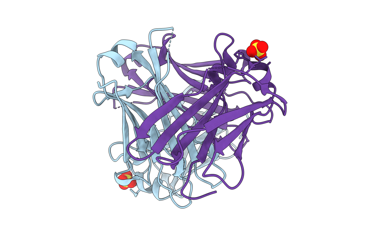 5DVO image