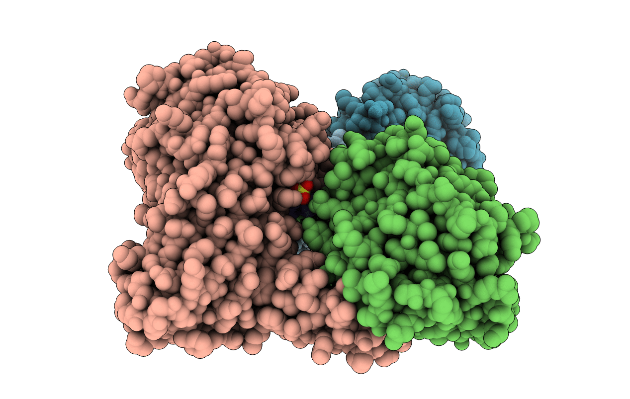 5DX0 image
