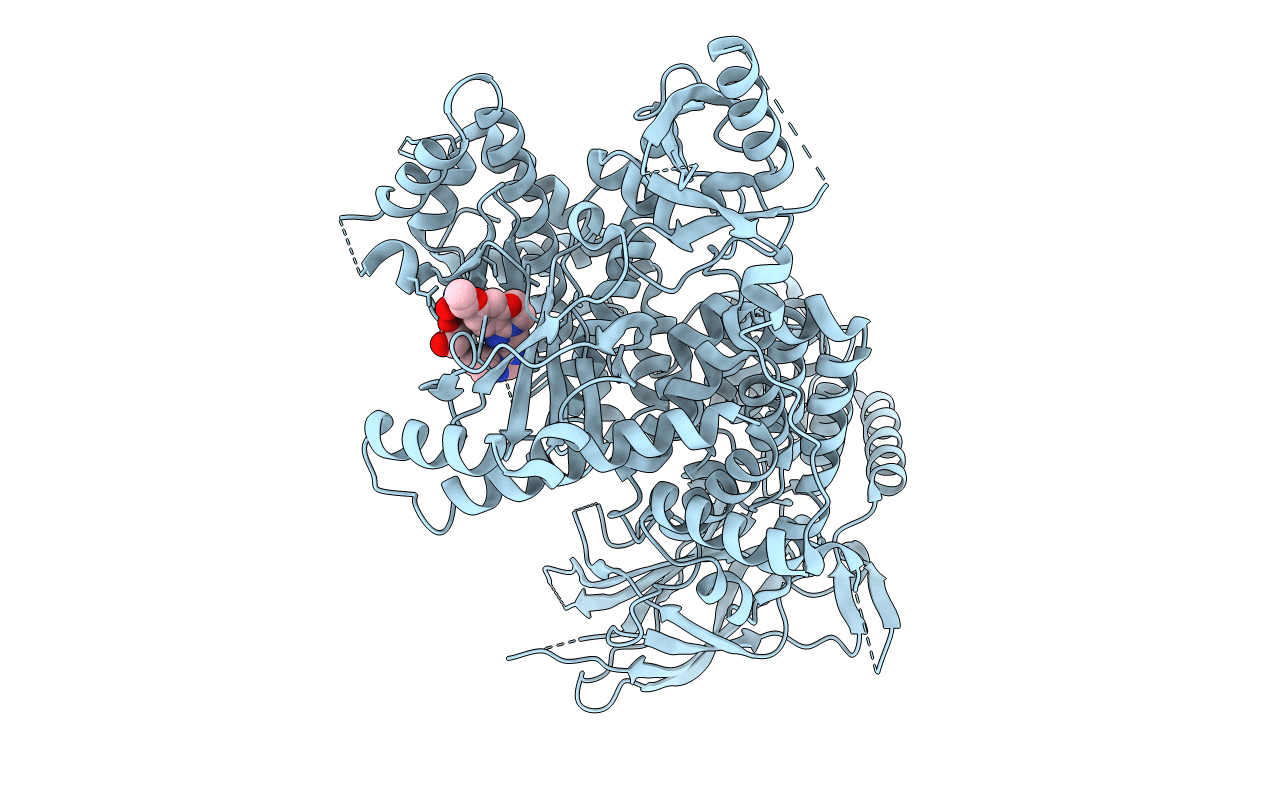 5DXT image