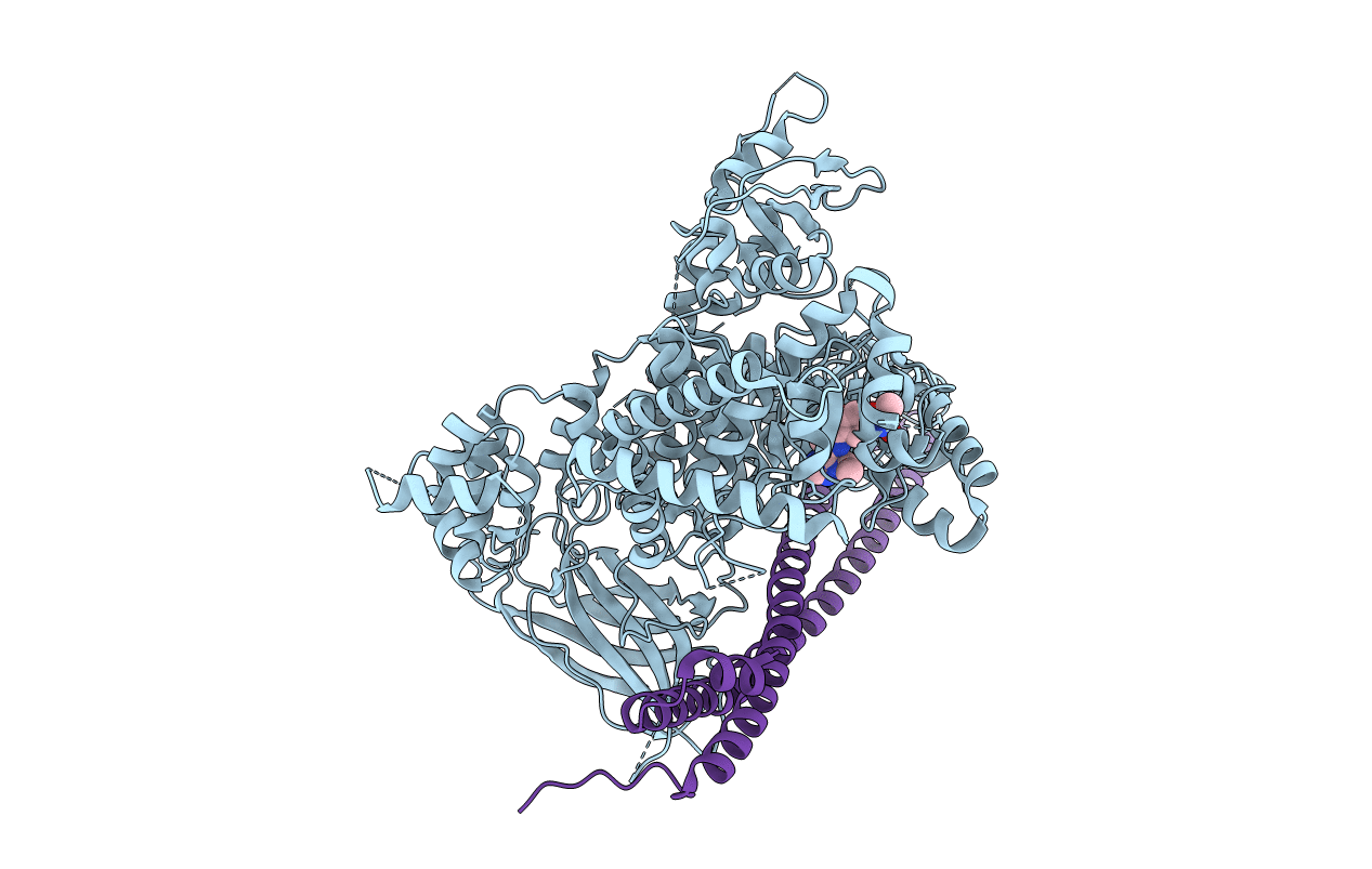 5DXU image