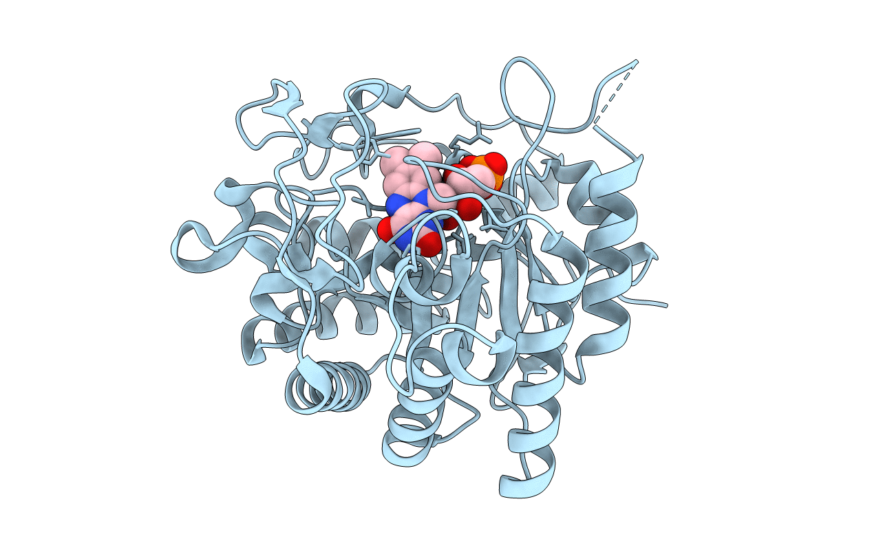 5DXX image