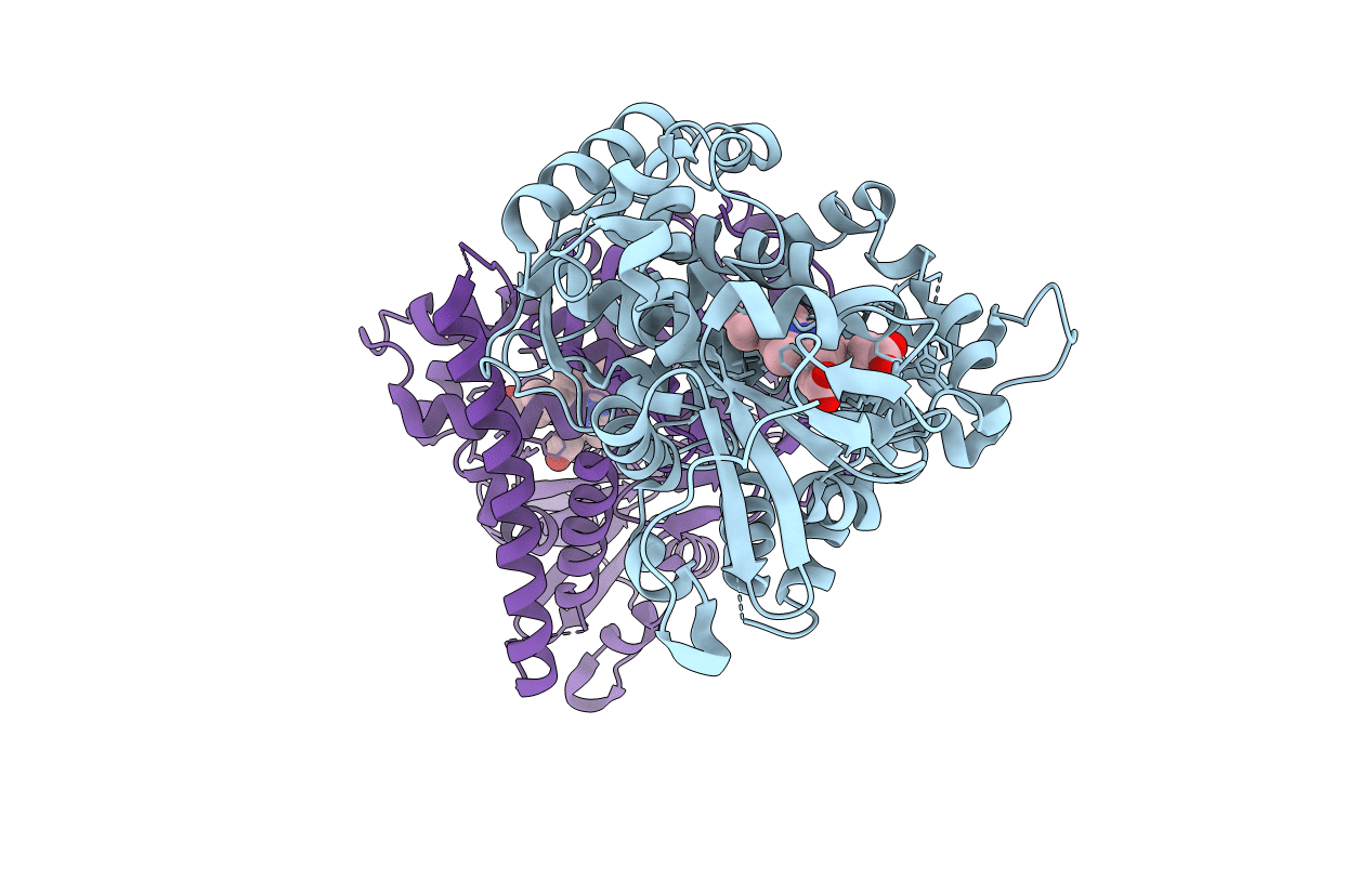 5DYP image