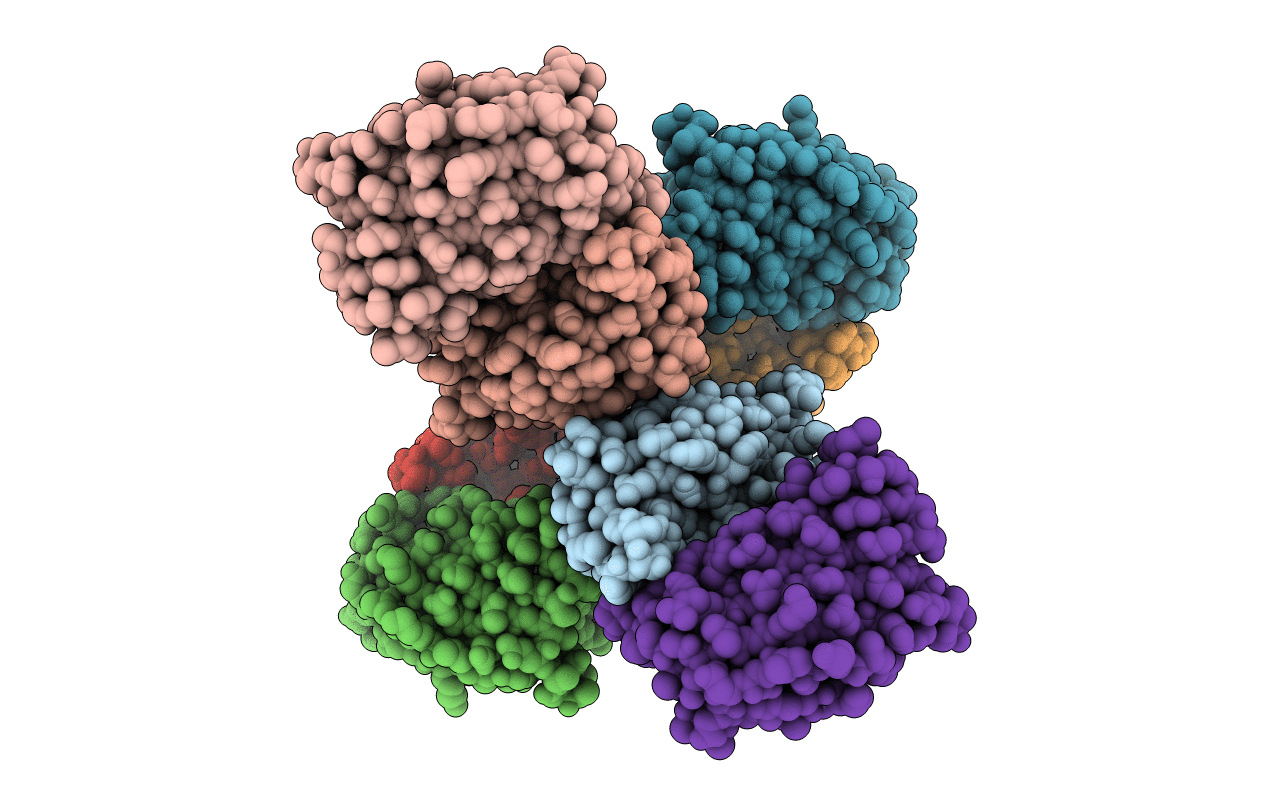 5DYV image