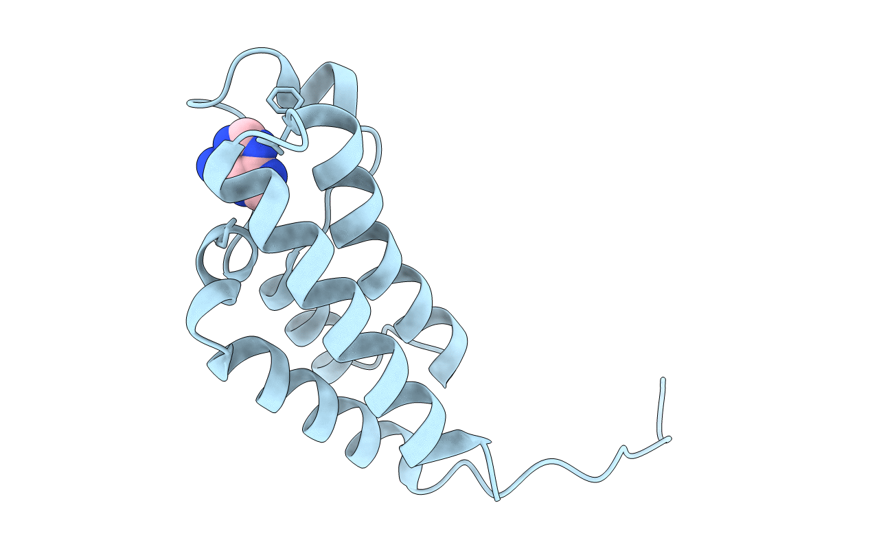 5DYX image