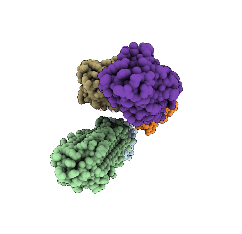5DZB image