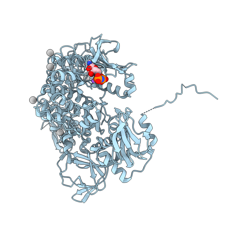 5DZC image