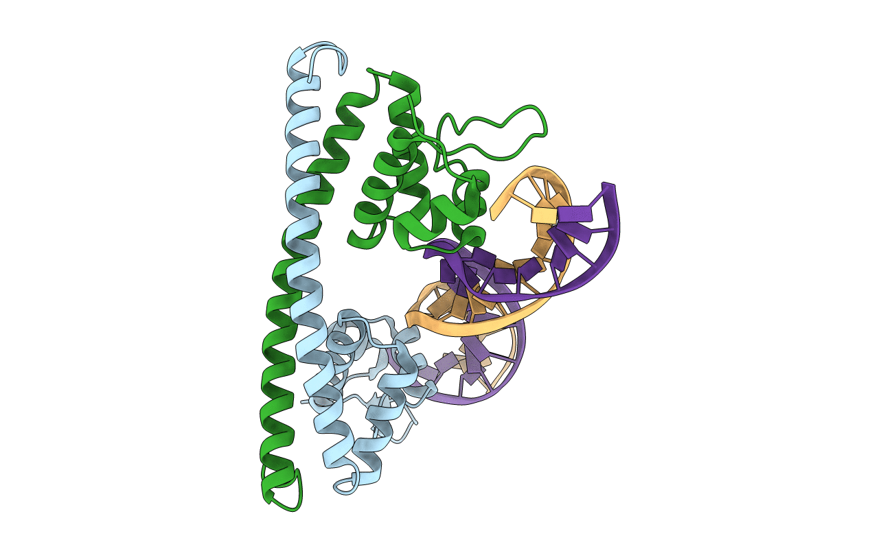 5E01 image