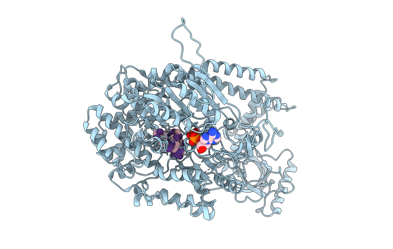 5E02 image
