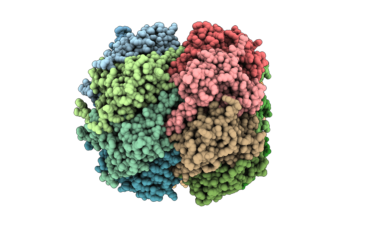 5E0S image