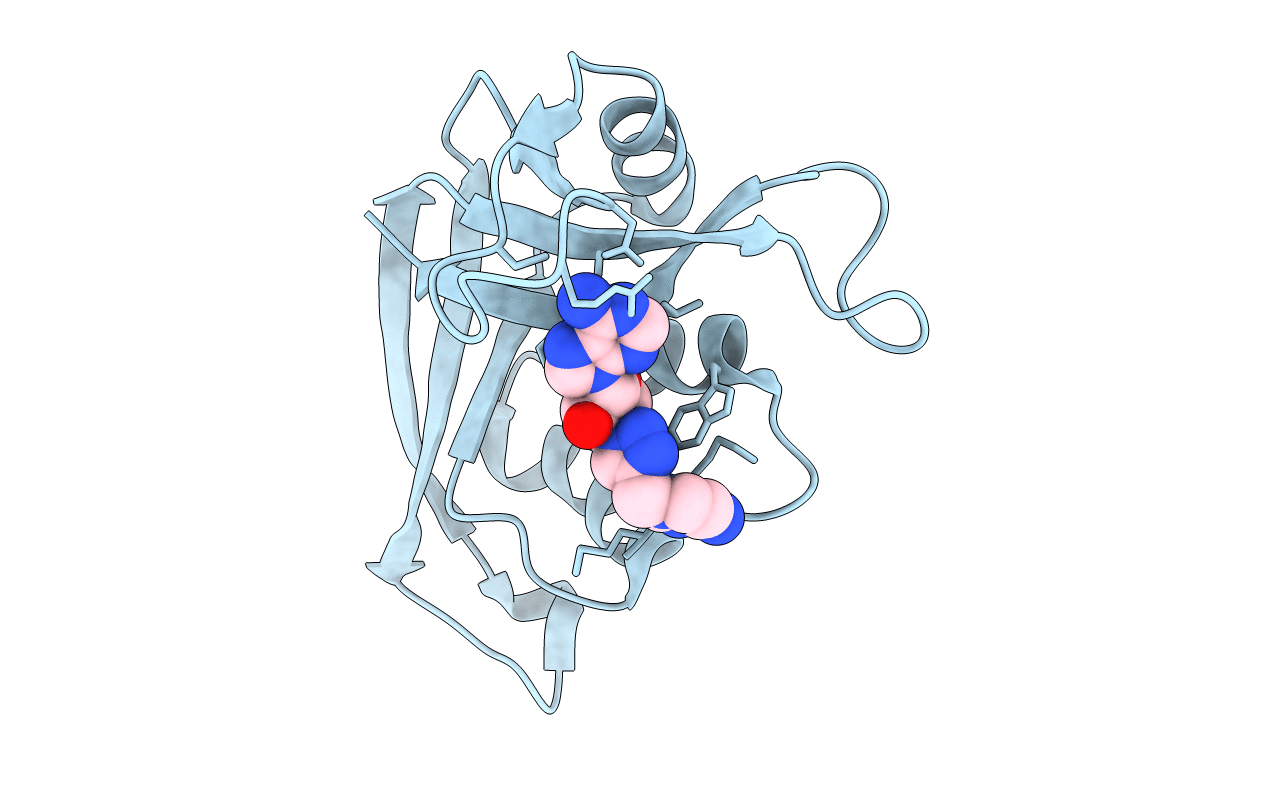 5E13 image