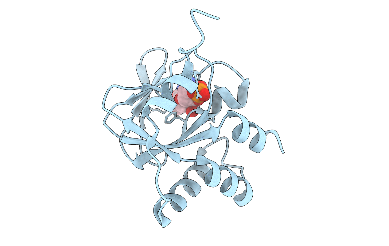 5E16 image