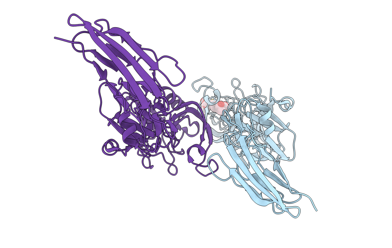 5E1G image