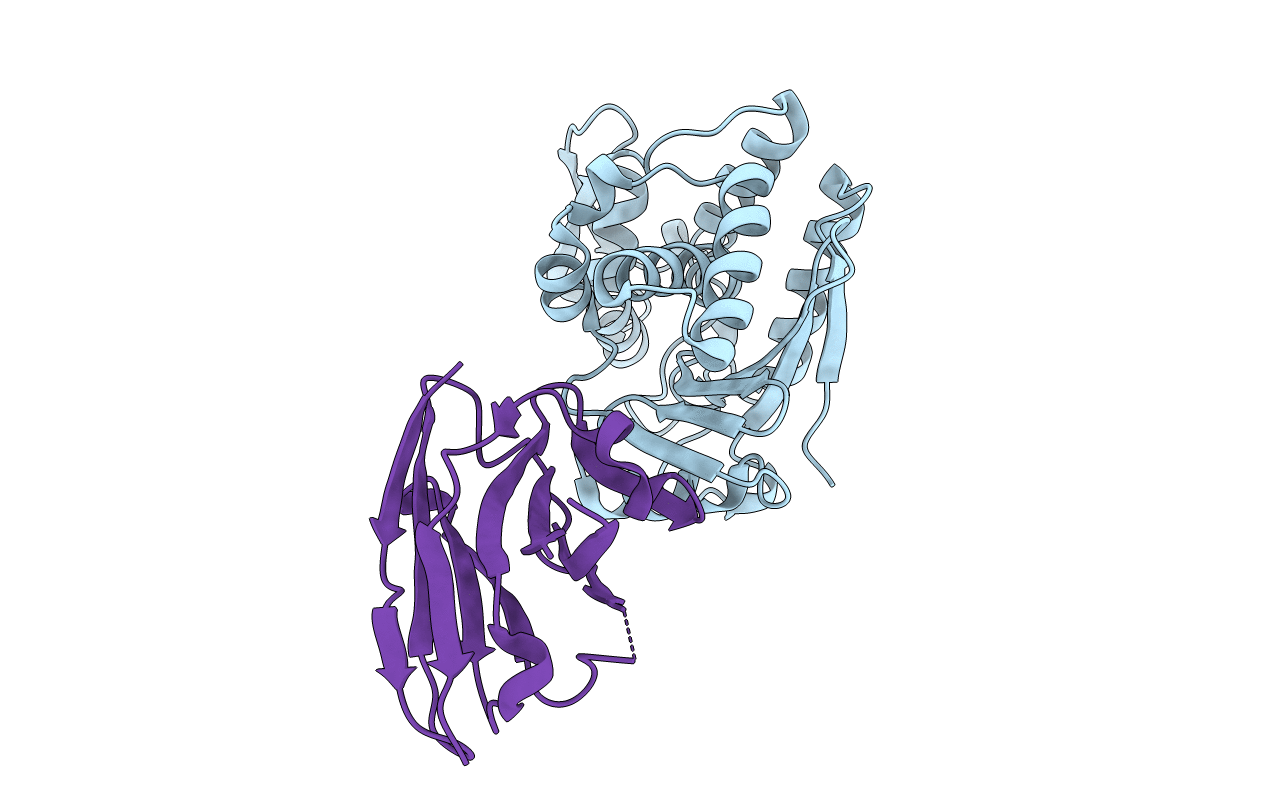 5E1H image