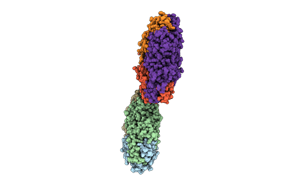 5E1R image