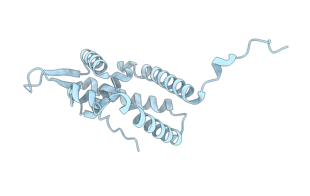 5E1W image