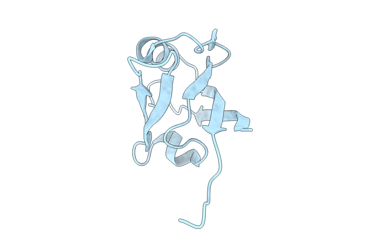 5E1Y image