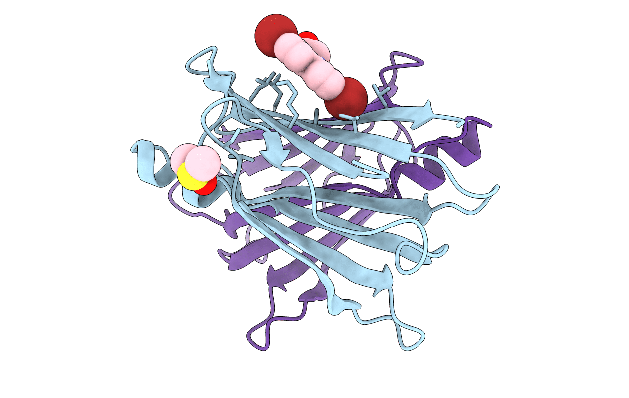 5E23 image