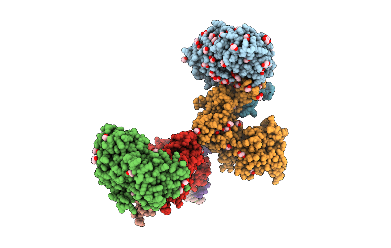 5E24 image
