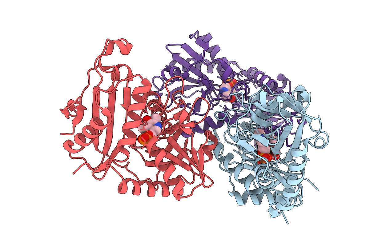 5E25 image
