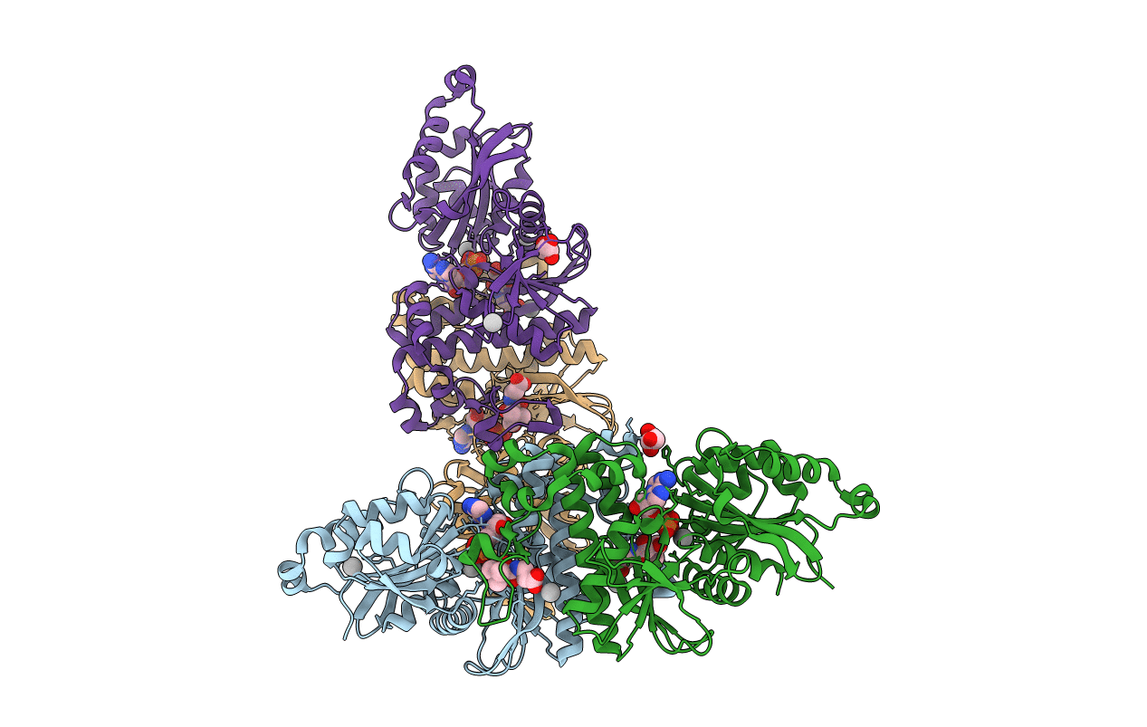 5E26 image