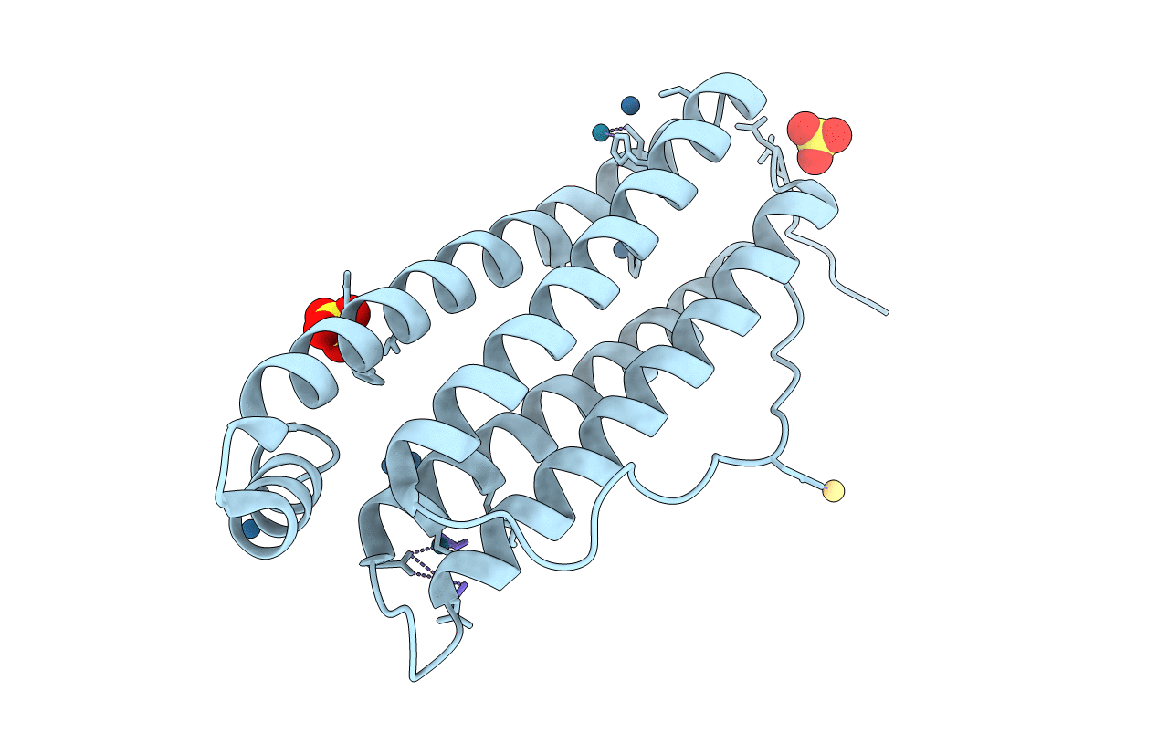 5E2D image