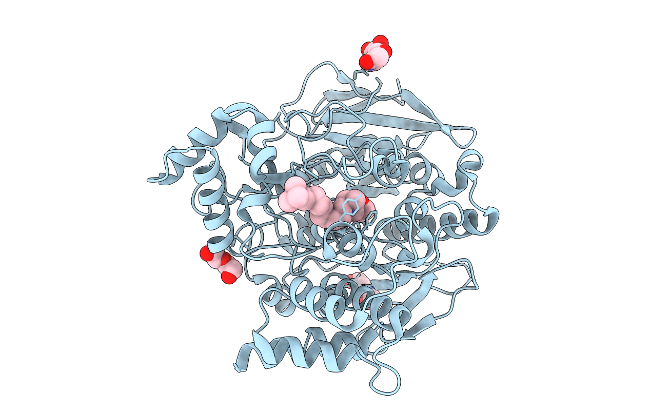 5E2I image