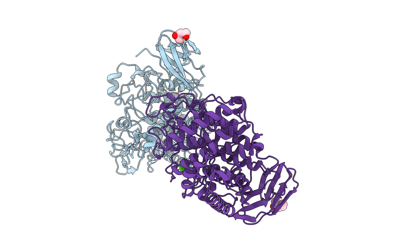 5E2J image