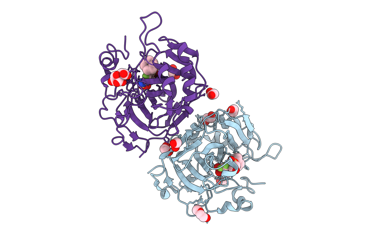 5E2N image