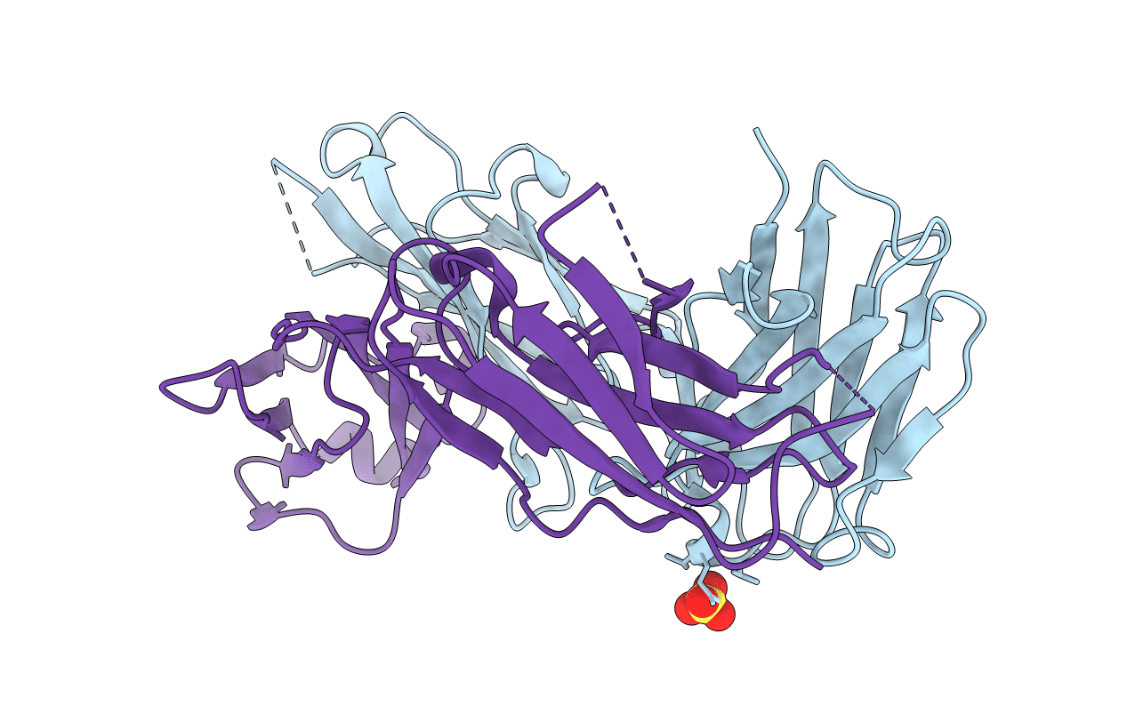 5E2U image