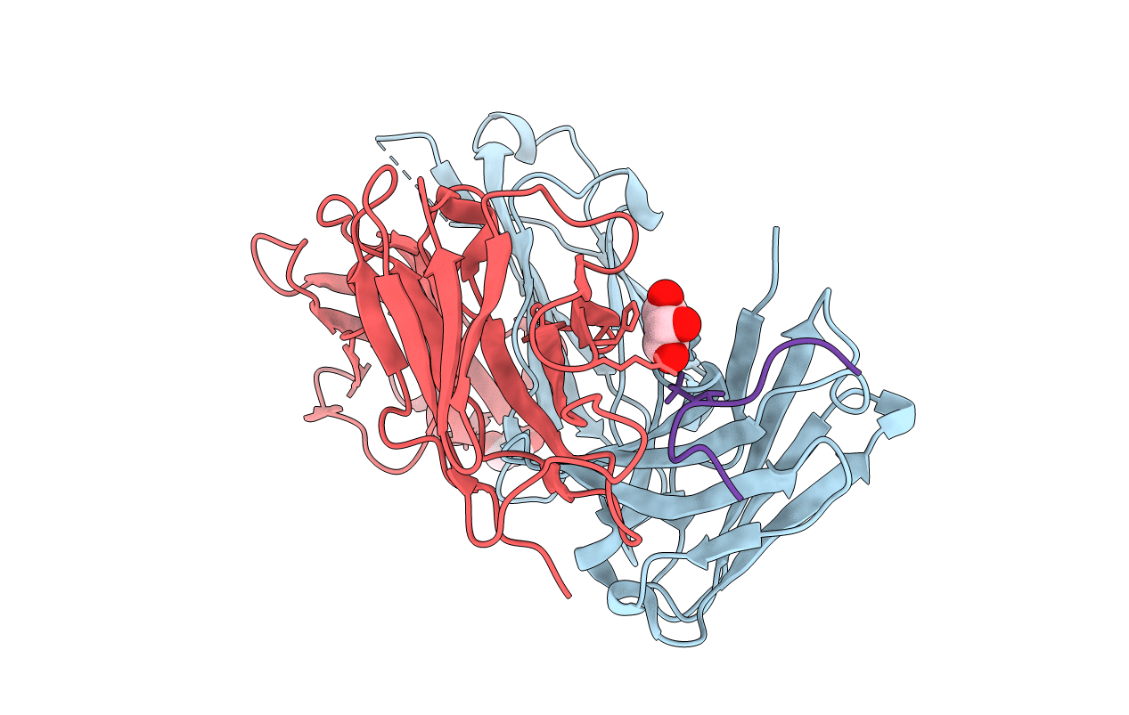 5E2V image