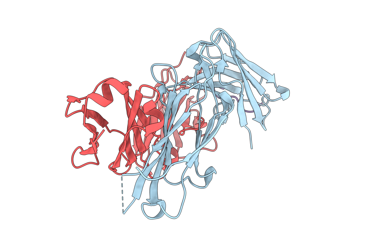5E2W image
