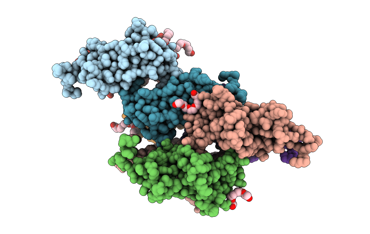5E2X image