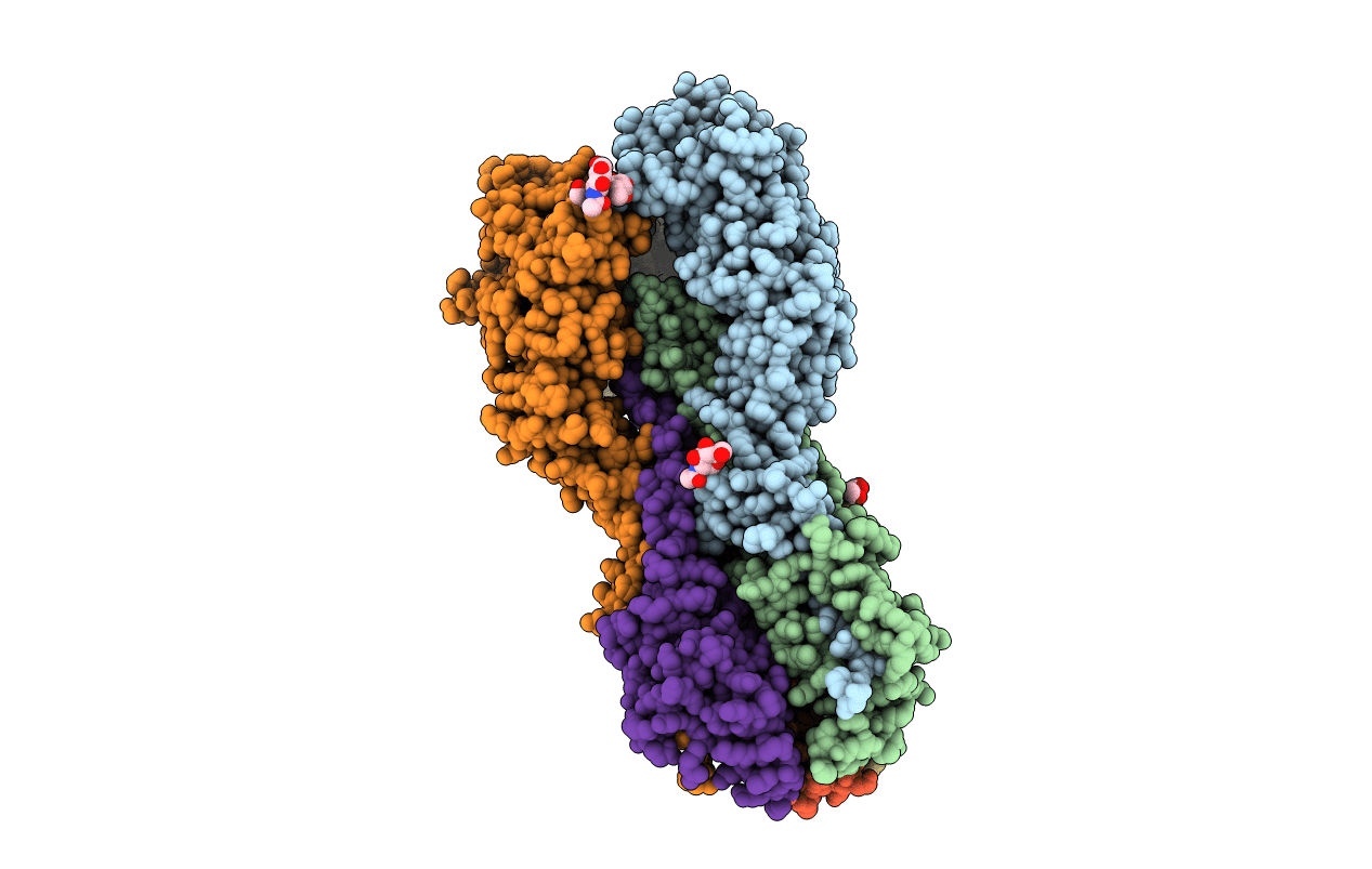 5E2Y image