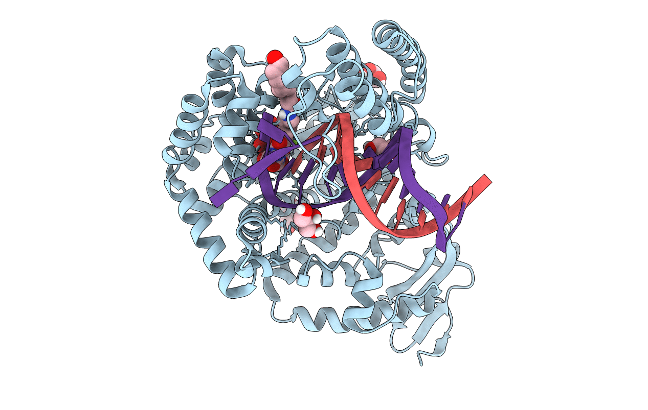 5E41 image
